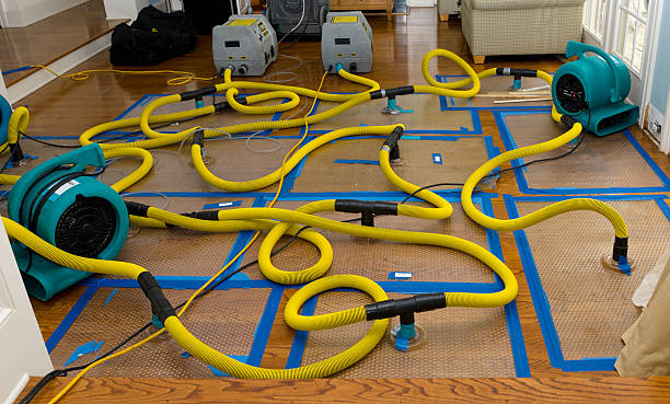 Professional Water Extraction technician working in Red Bay, AL